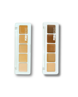 PRO DEFINING CONCEALER PALETTE BUNDLE