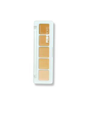 PRO DEFINING CONCEALER PALETTE-  #001 LIGHT/MEDUIM